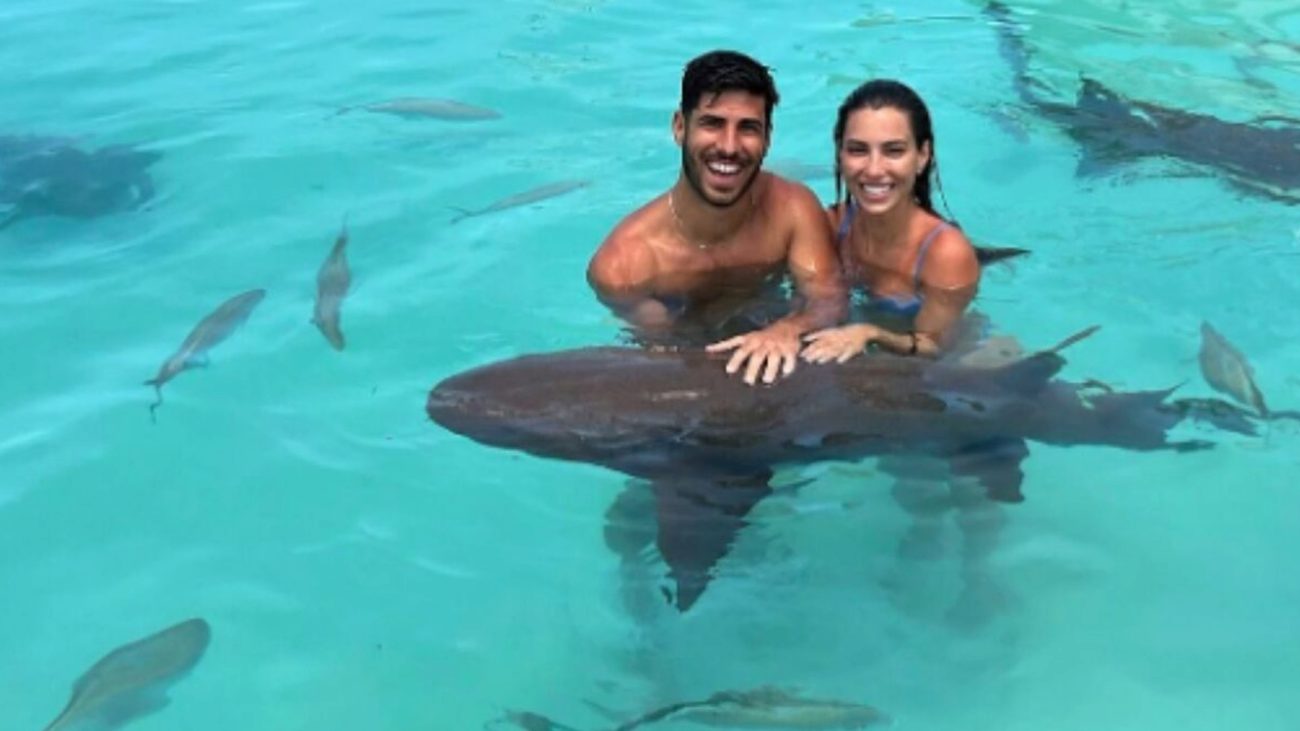 Marco Asensio disfruta con su pareja en compaa de tiburones