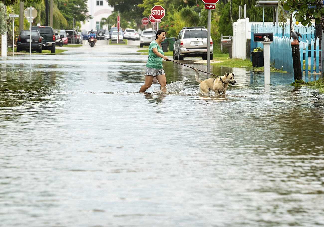 Un perro es paseado a travs de la inundacin a medida que sube la...