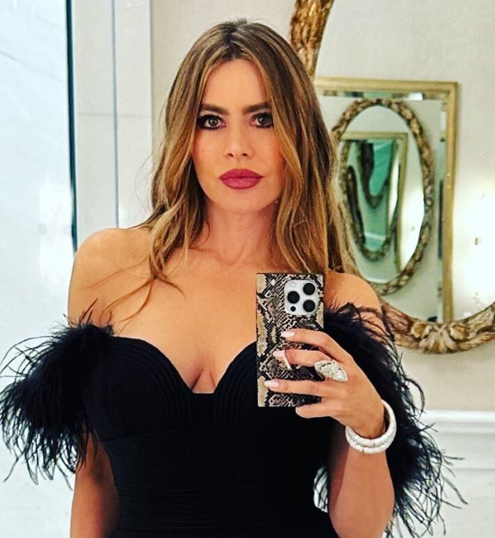 La actriz y modelo Sofia Vergara cuenta con ms de 28,5 millones de...