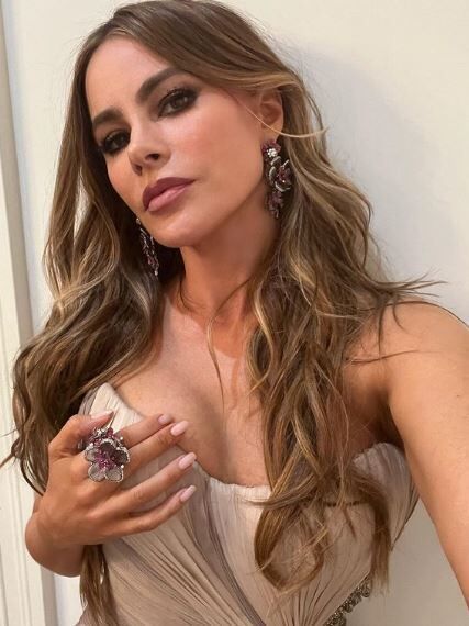 La actriz y modelo Sofia Vergara cuenta con ms de 28,5 millones de...