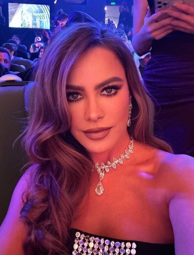 La actriz y modelo Sofia Vergara cuenta con ms de 28,5 millones de...