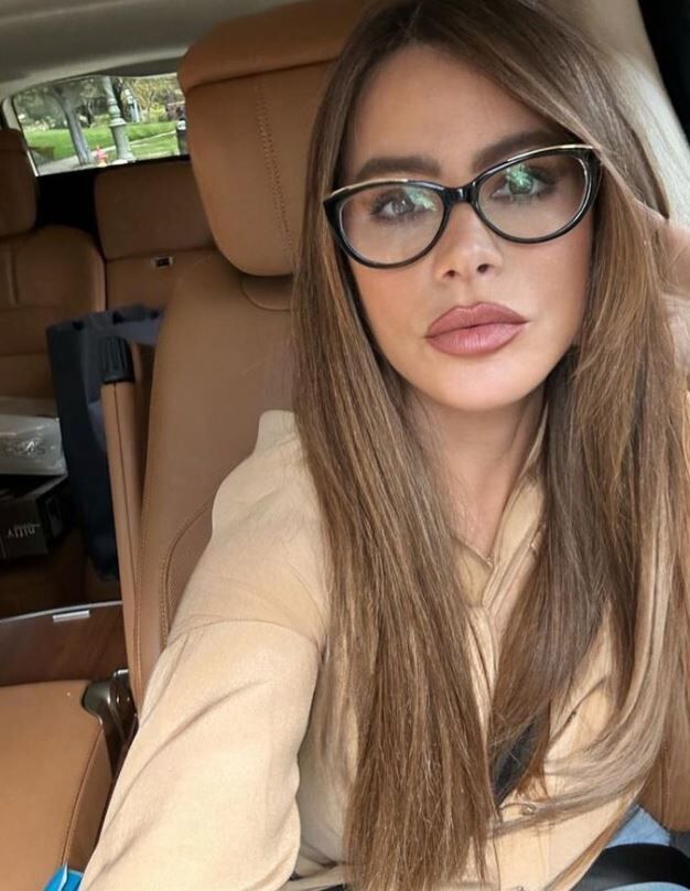 La actriz y modelo Sofia Vergara cuenta con ms de 28,5 millones de...