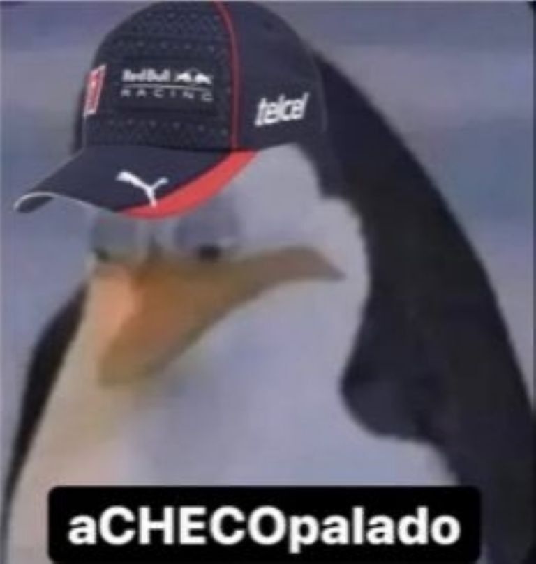 Una palabra que describe el sentimiento de los fans de Checo.